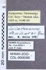 Etiketten zu Selatosomus denisovae (Gurjeva, 1978) (NHMW-ZOO-COL-0008385)